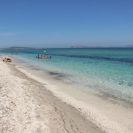 Nure Bed and Breakfast Stintino Εξωτερικό φωτογραφία